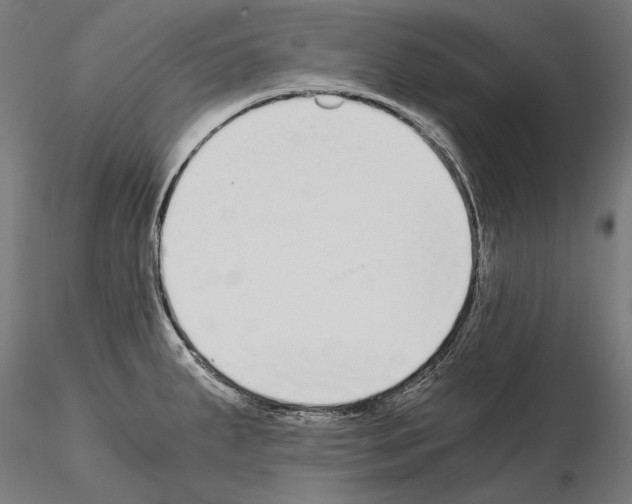 X0000115081287200912081203