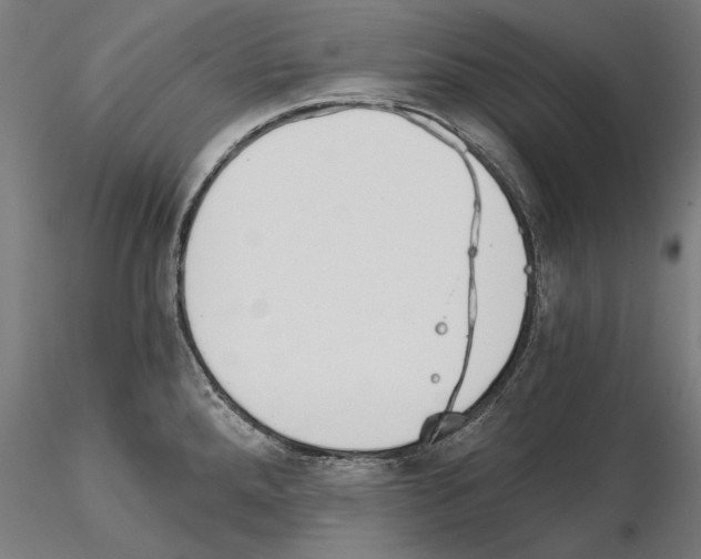 X0000115081288200912081203