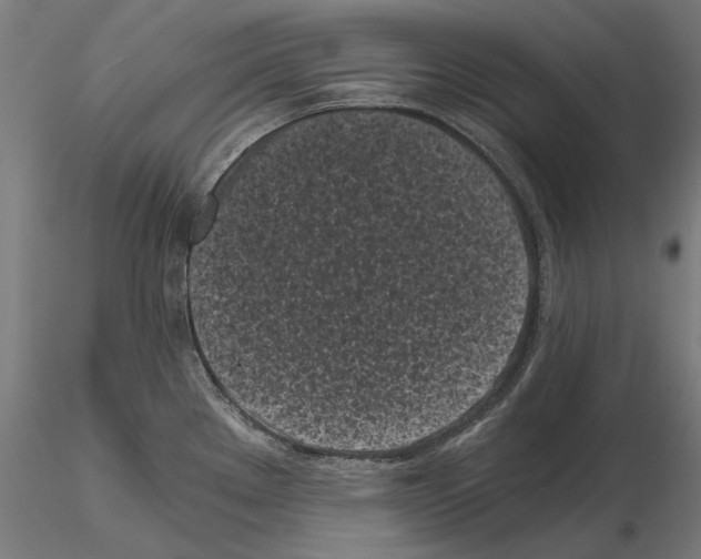 X0000115081289200912081203