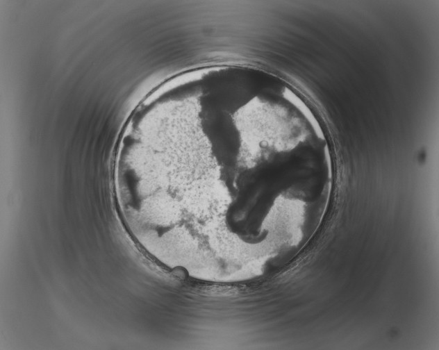 X0000115081291200912081203