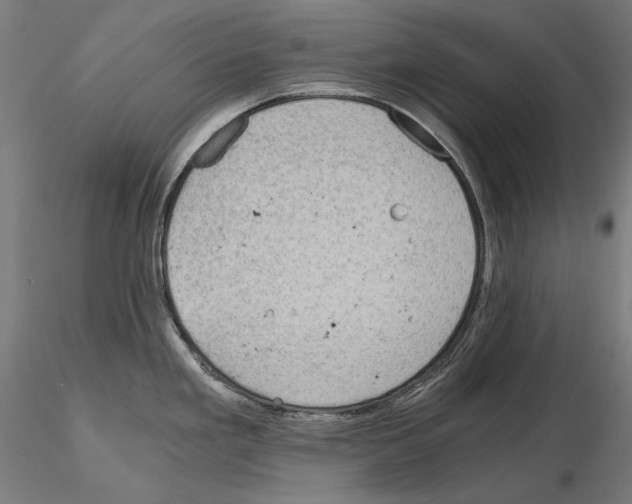 X0000115081293200912081203