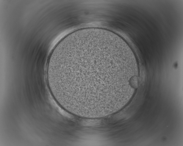 X0000115081294200912081203