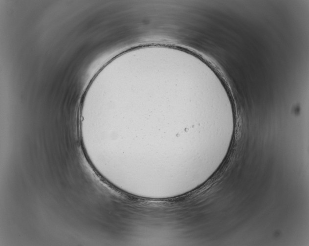 X0000115081295200912081203