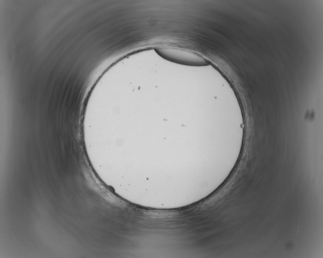 X0000115081296200912081203