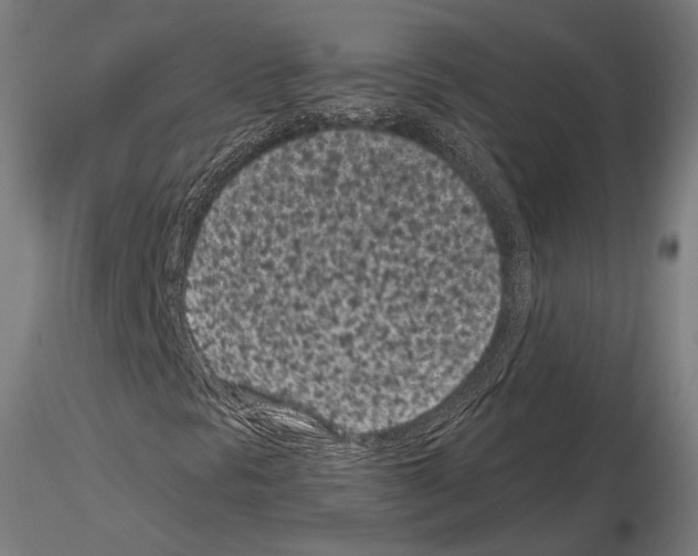 X0000115081297200912081202