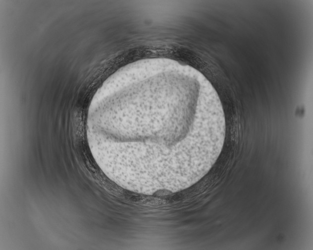 X0000115081298200912081202