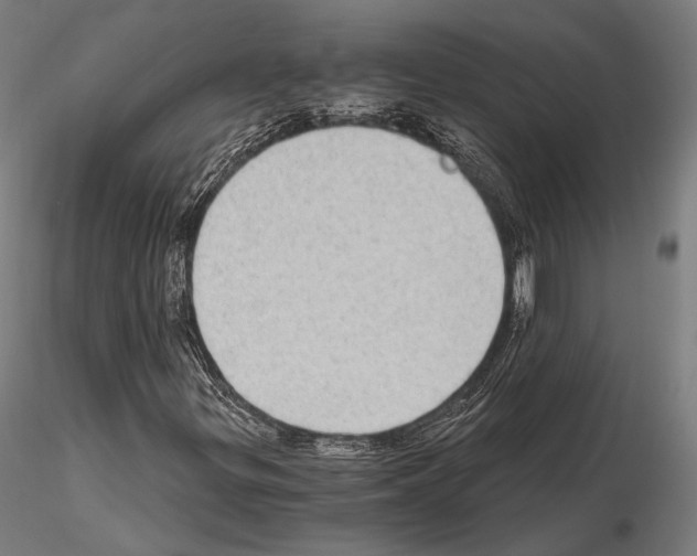 X0000115081299200912081202