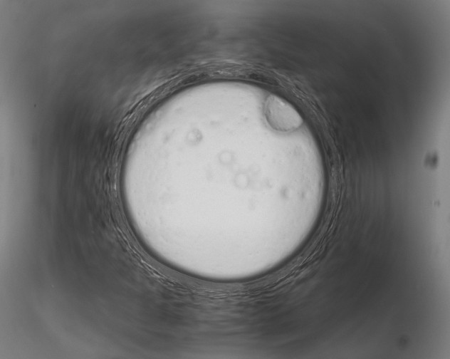 X0000115081301200912081202