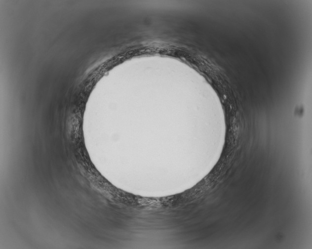 X0000115081302200912081202