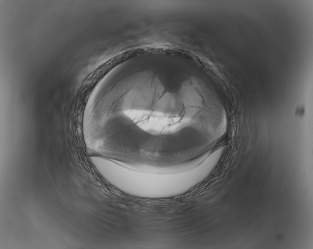 X0000115081303200912081202