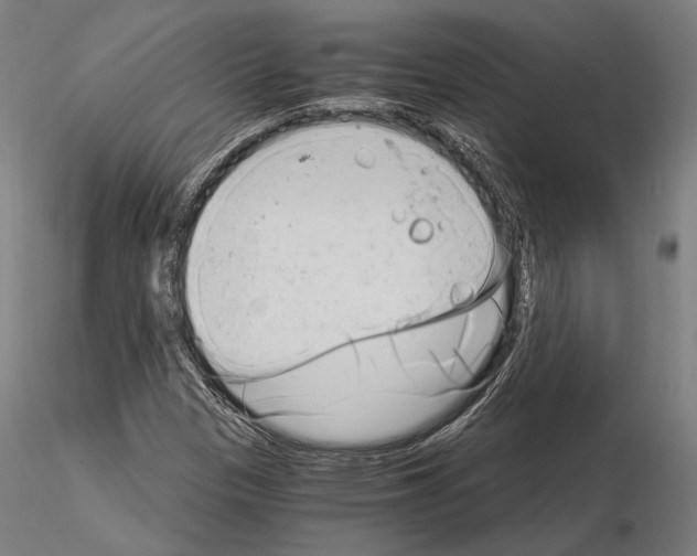 X0000115081305200912081202