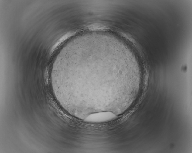 X0000115081306200912081202