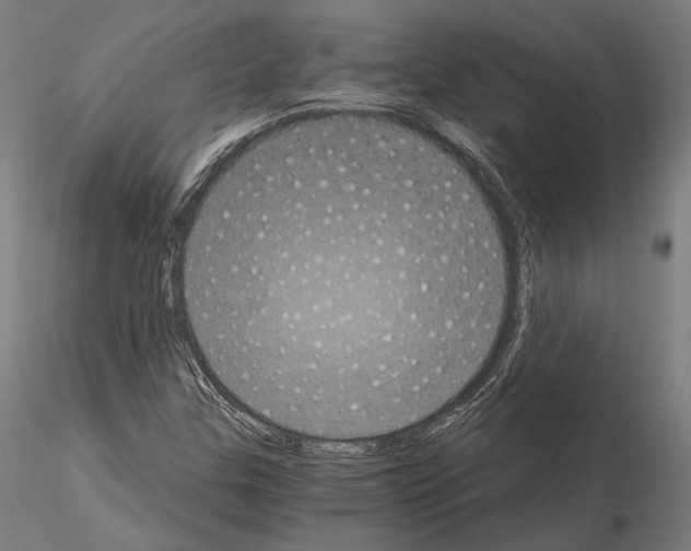 X0000115081307200912081202