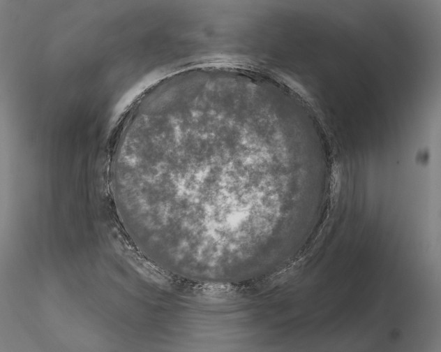 X0000115081310200912081202