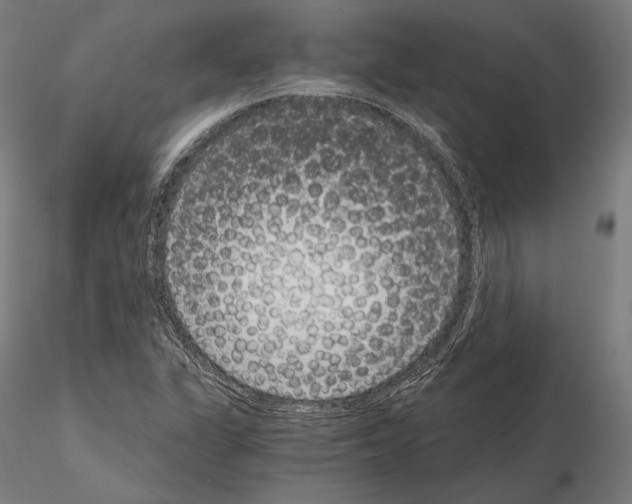 X0000115081311200912081202