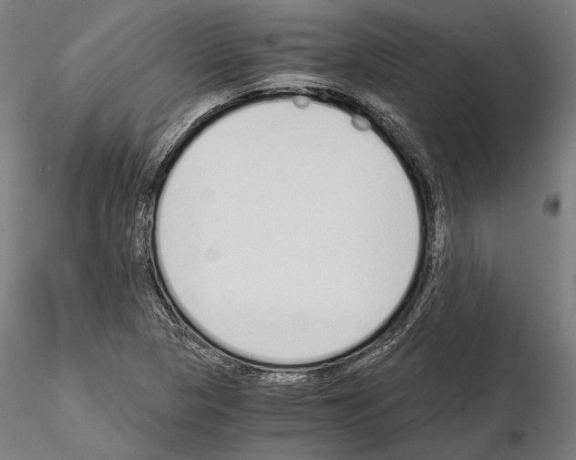 X0000115081313200912081202