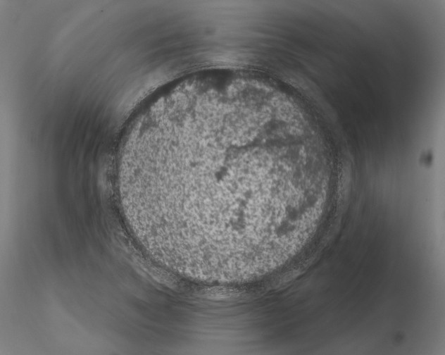 X0000115081314200912081202