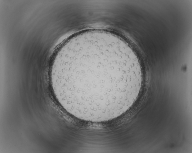 X0000115081315200912081202