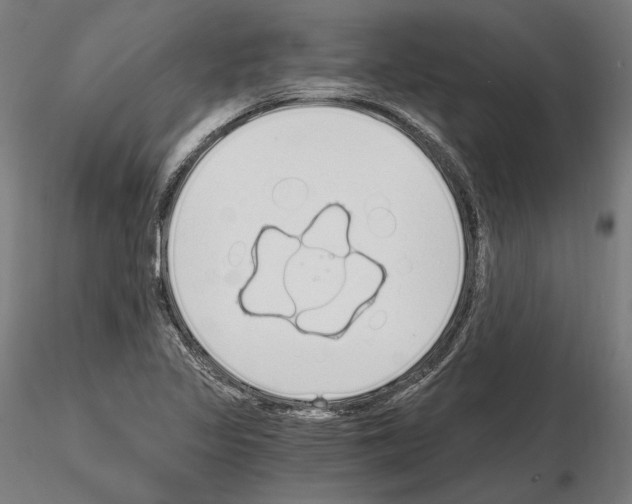 X0000115081317200912081202