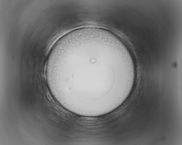 X0000115081318200912081202