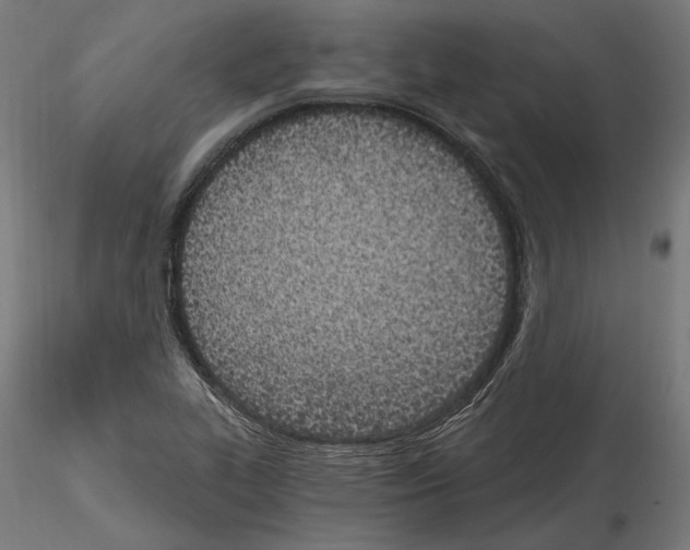 X0000115081319200912081202