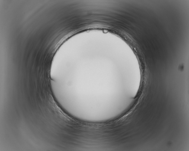 X0000115081321200912081202