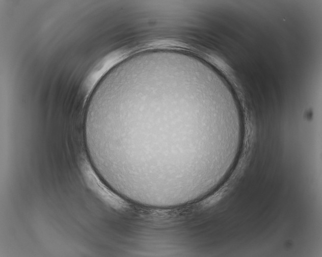 X0000115081322200912081202