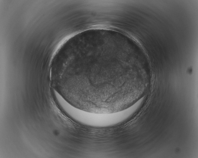 X0000115081323200912081202