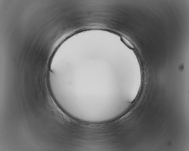 X0000115081325200912081202