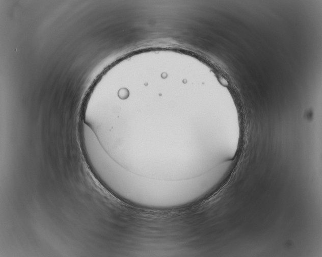 X0000115081326200912081202