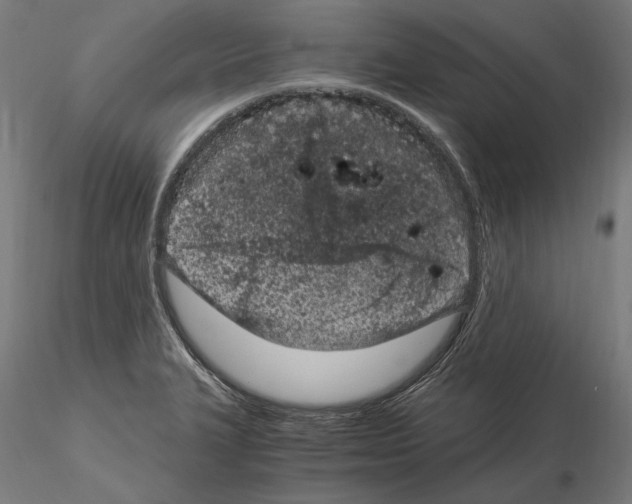 X0000115081327200912081202