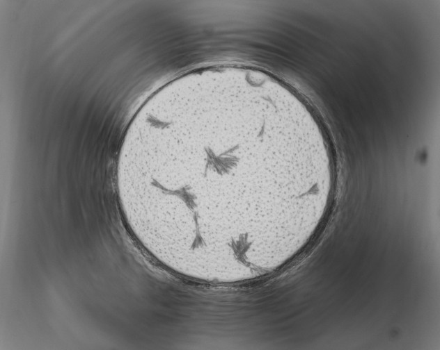 X0000115081329200912081202