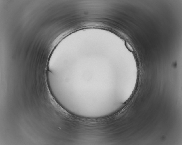 X0000115081330200912081202