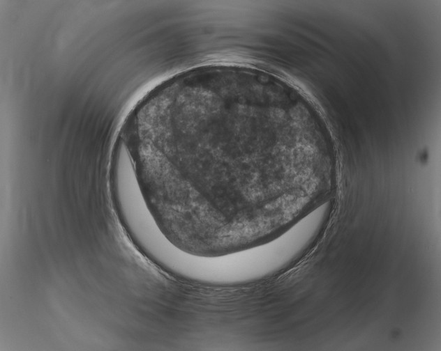 X0000115081331200912081202