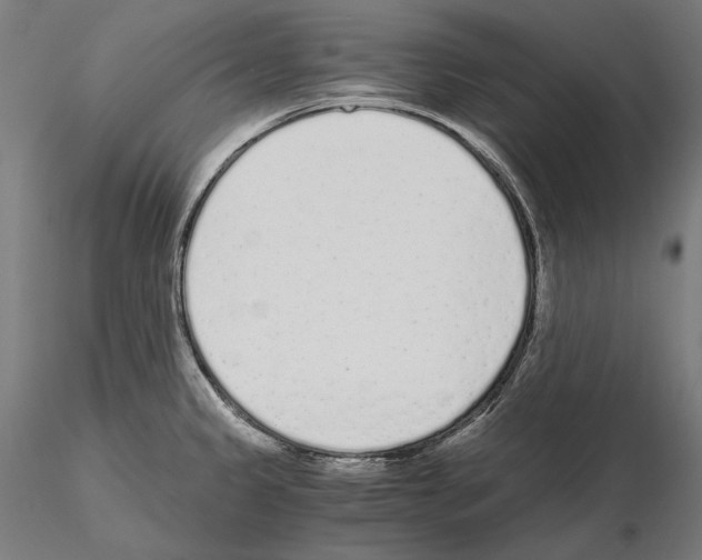 X0000115081333200912081202