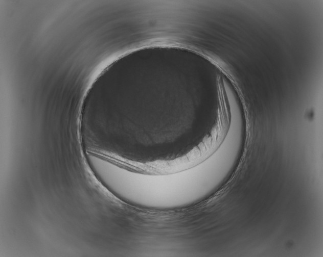 X0000115081334200912081202