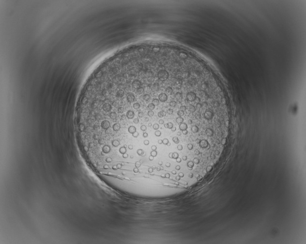 X0000115081335200912081202