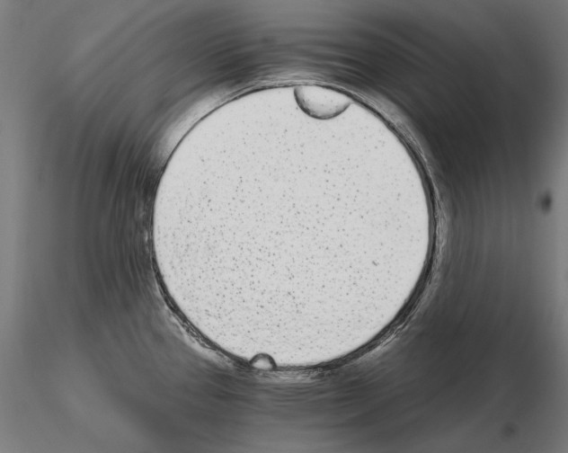 X0000115081337200912081202