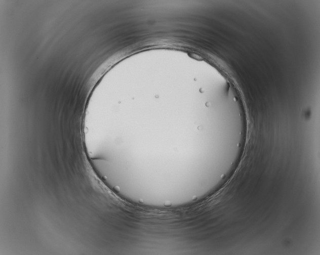 X0000115081338200912081202