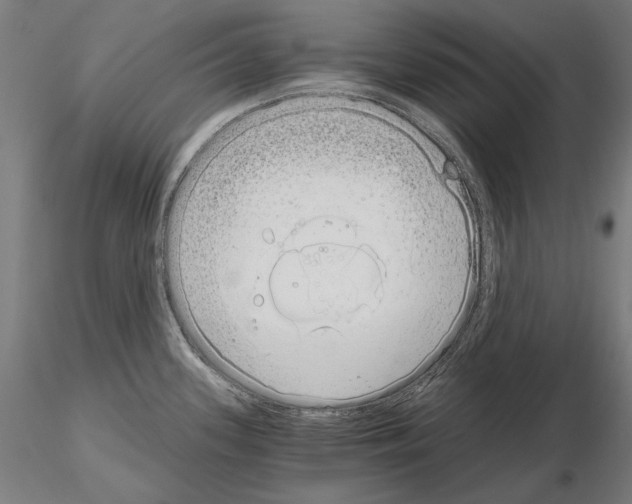 X0000115081339200912081203