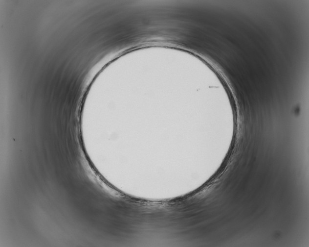 X0000115081341200912081203