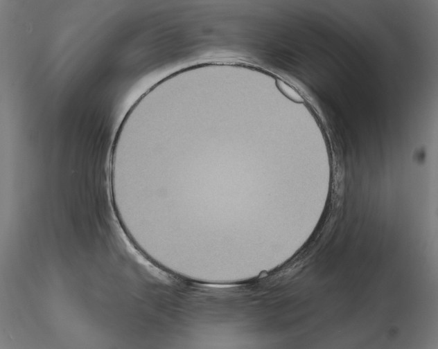 X0000115081343200912081203