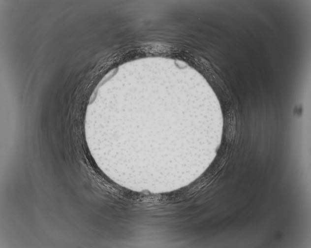 X0000115081345200912081202