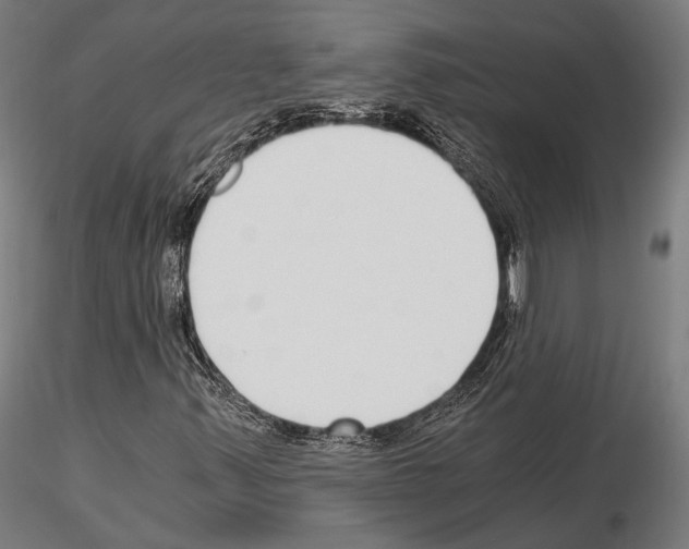 X0000115081347200912081202