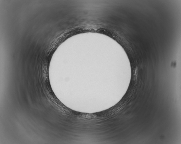 X0000115081348200912081202