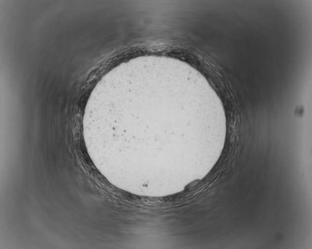 X0000115081349200912081202