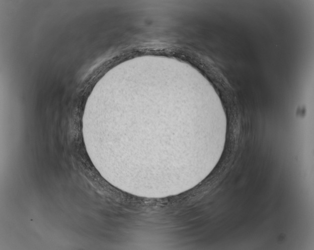 X0000115081350200912081202