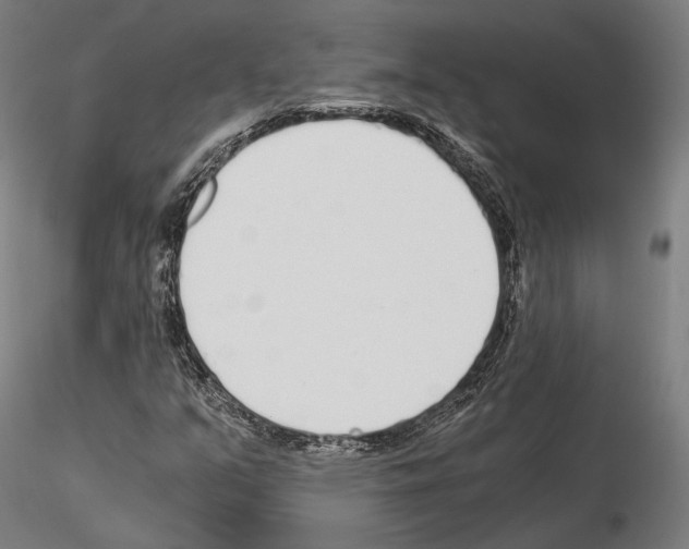 X0000115081351200912081202