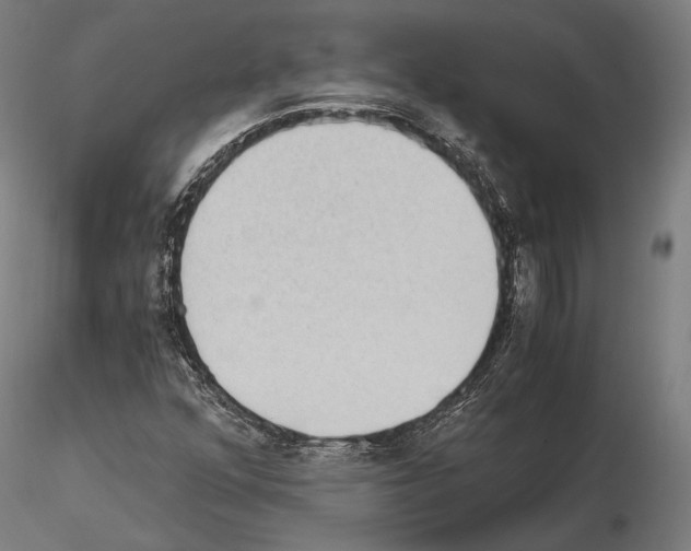 X0000115081352200912081202