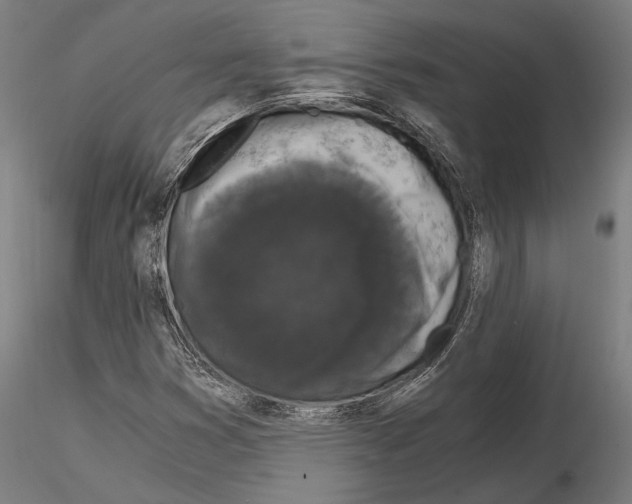 X0000115081353200912081202